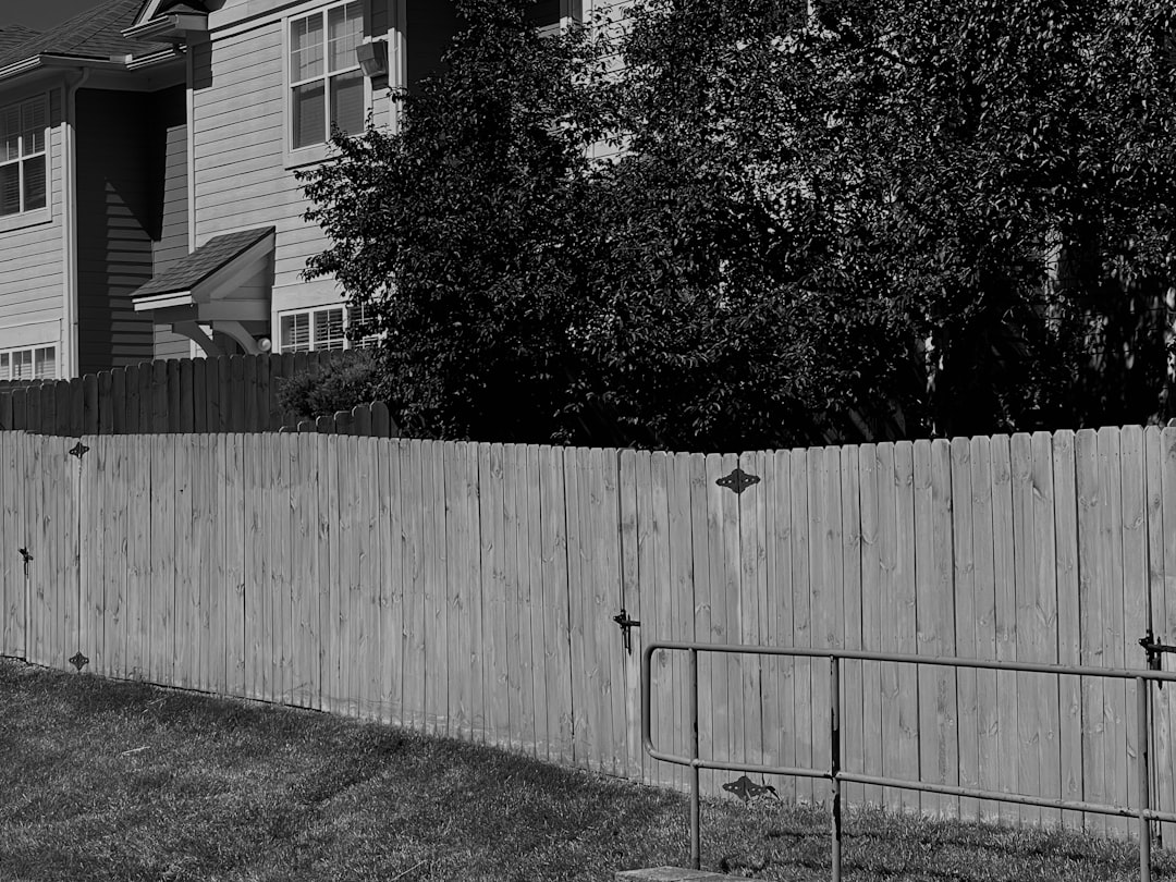 the other side of the fence