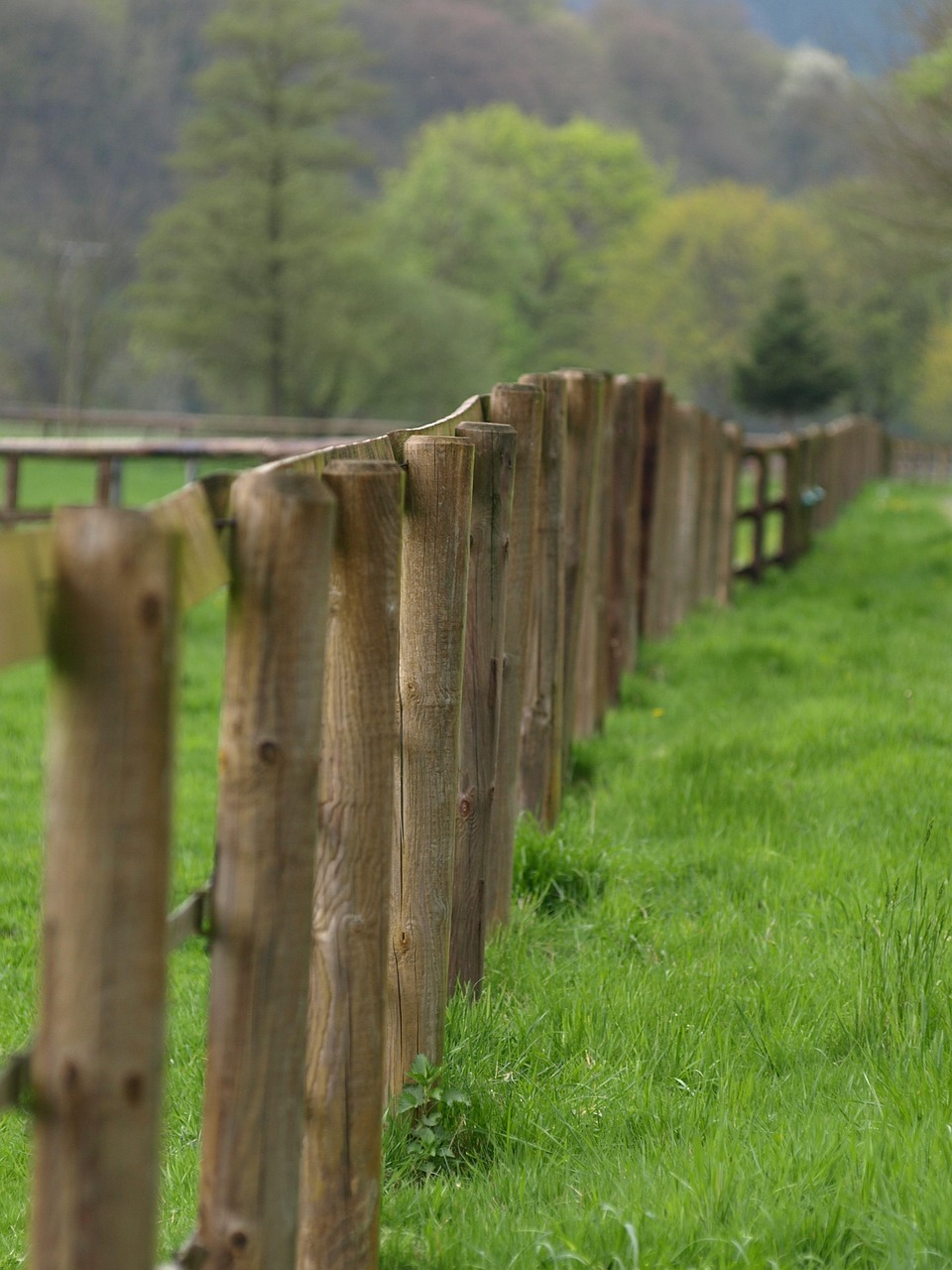 fence, wooden fence, limitation, paddock